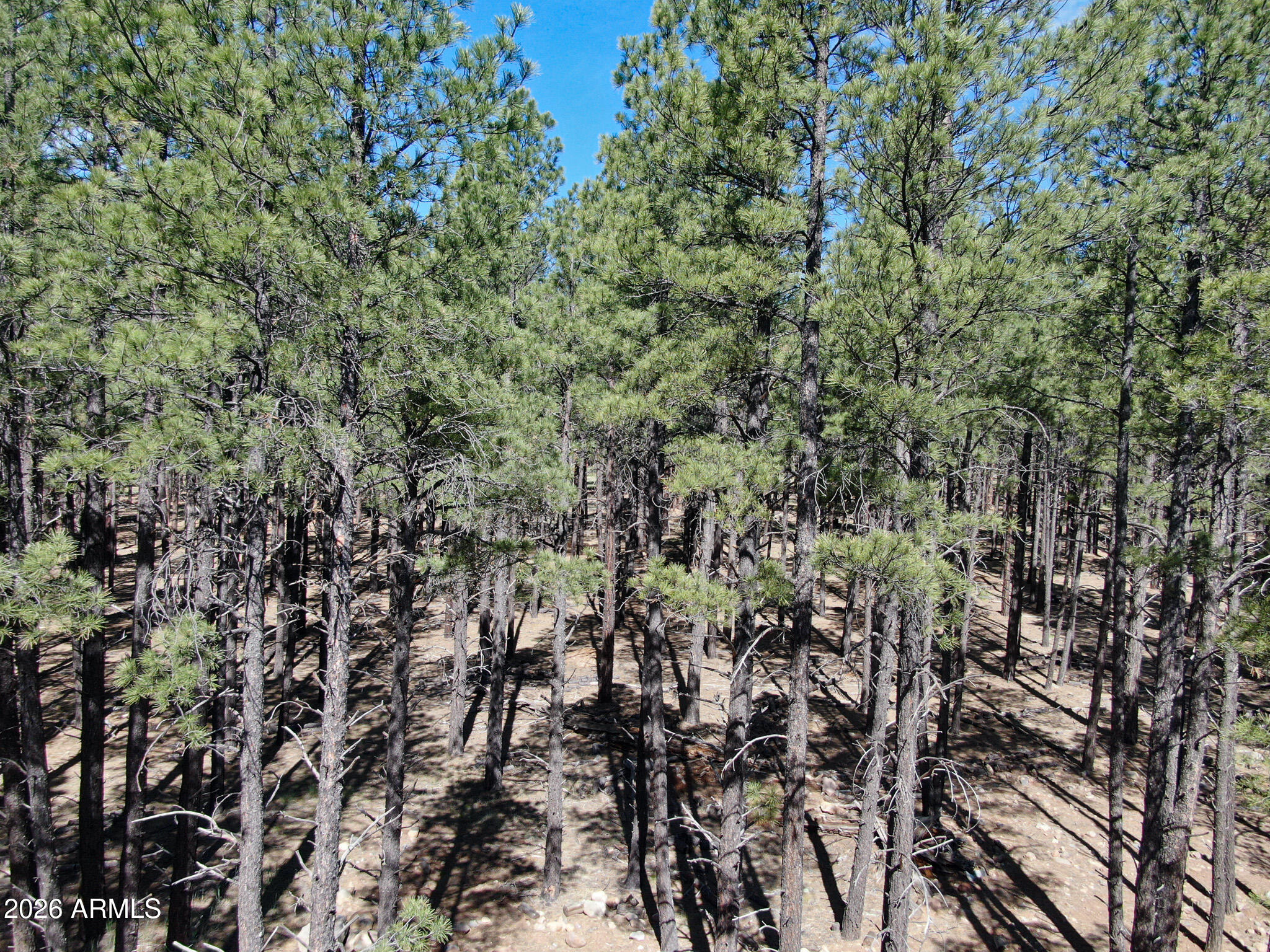RANCH AT THE PEAKS PHASE 3 - Land