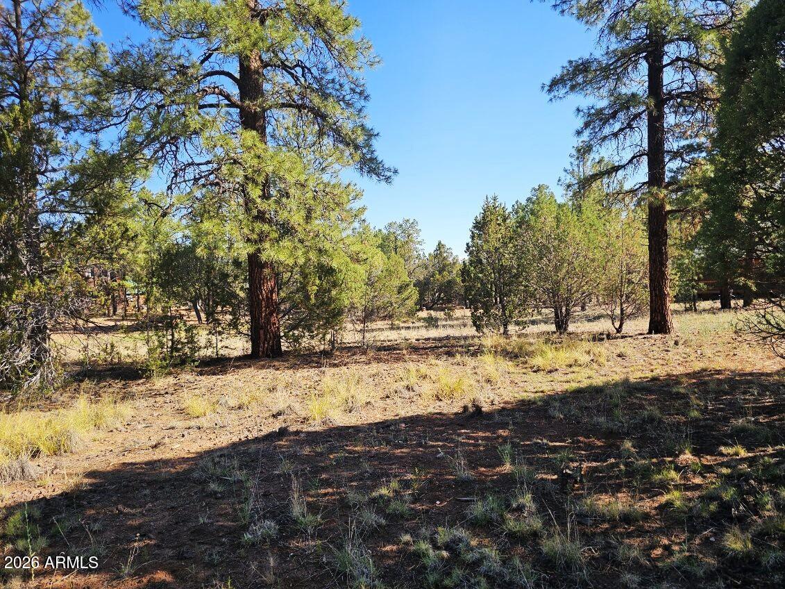 FOREST TRAILS UNIT 2 - Land