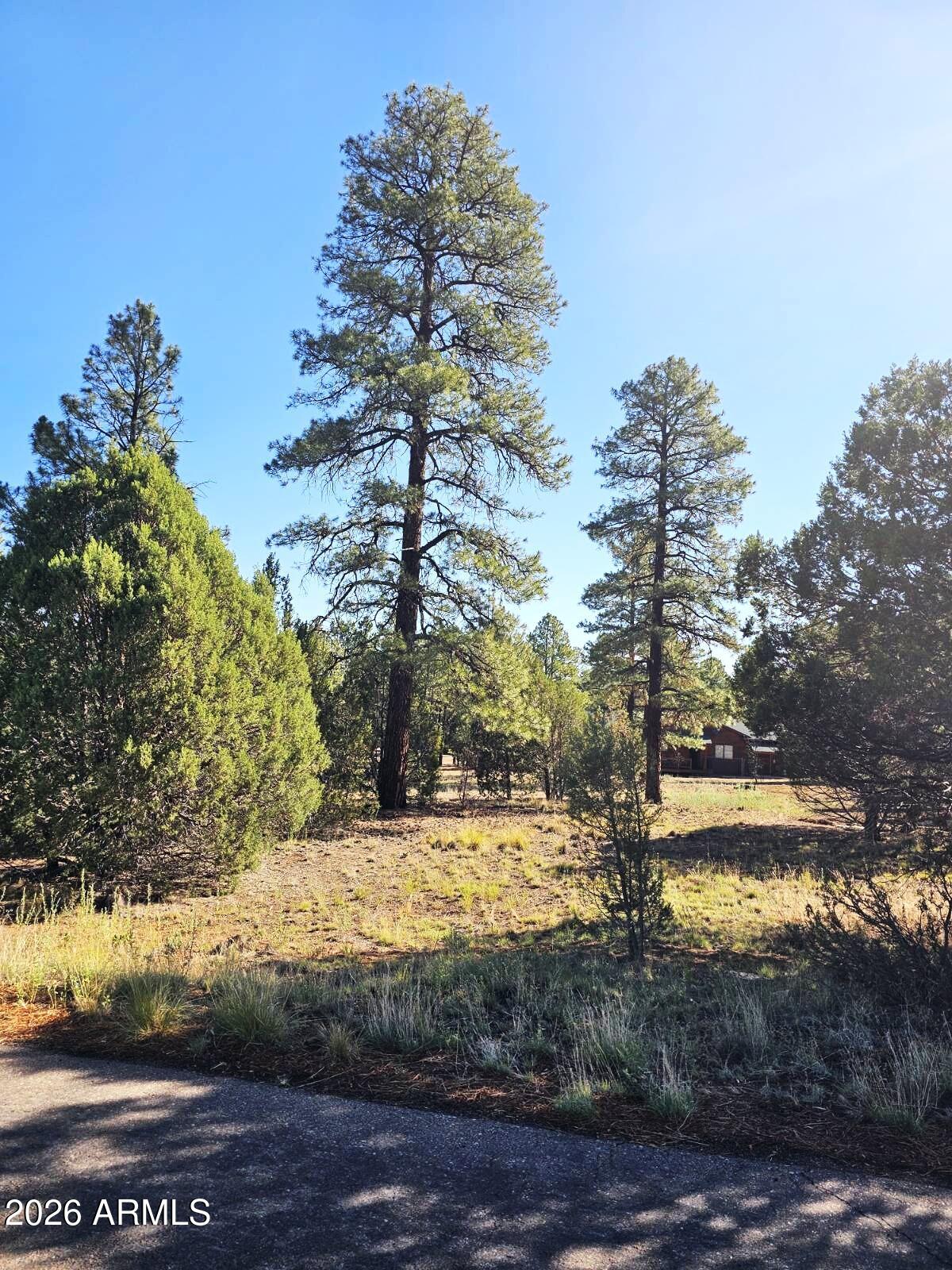 FOREST TRAILS UNIT 2 - Land