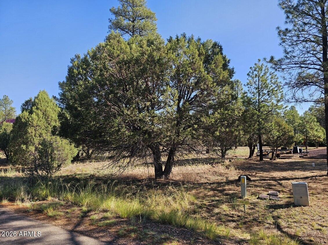 FOREST TRAILS UNIT 2 - Land