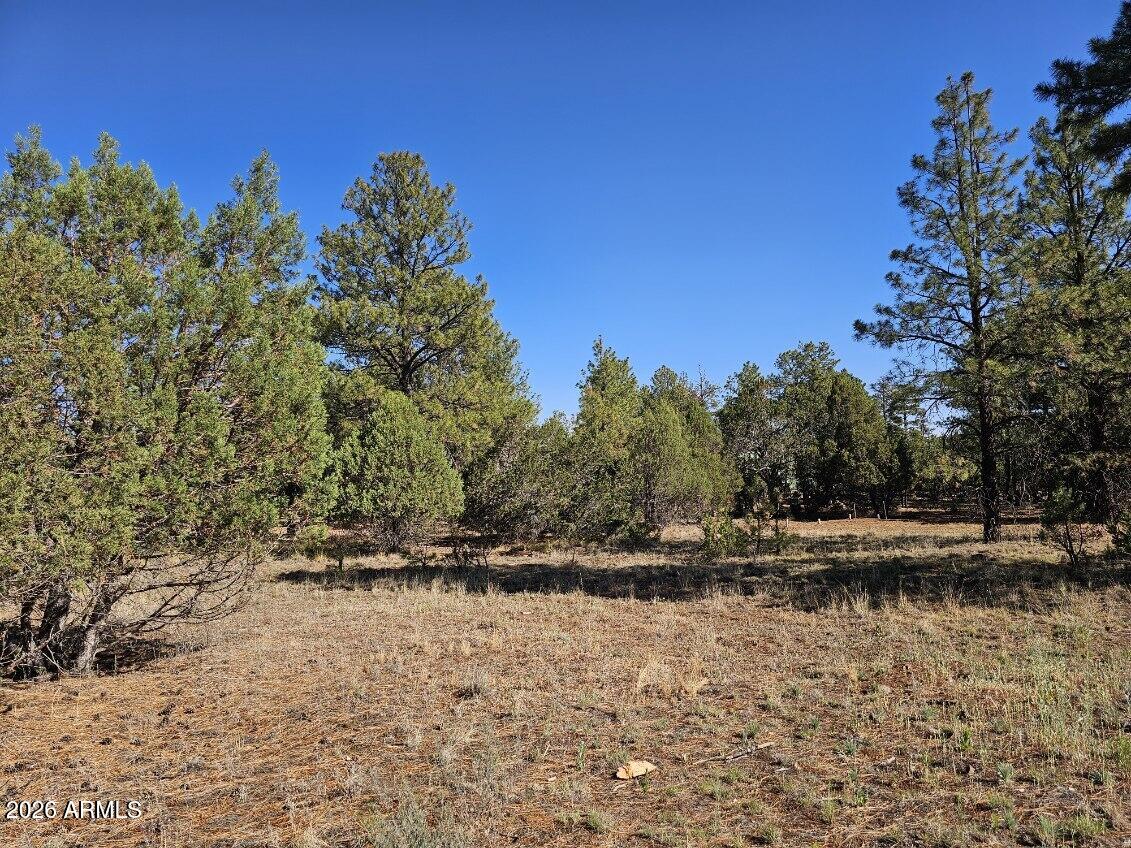 FOREST TRAILS UNIT 2 - Land