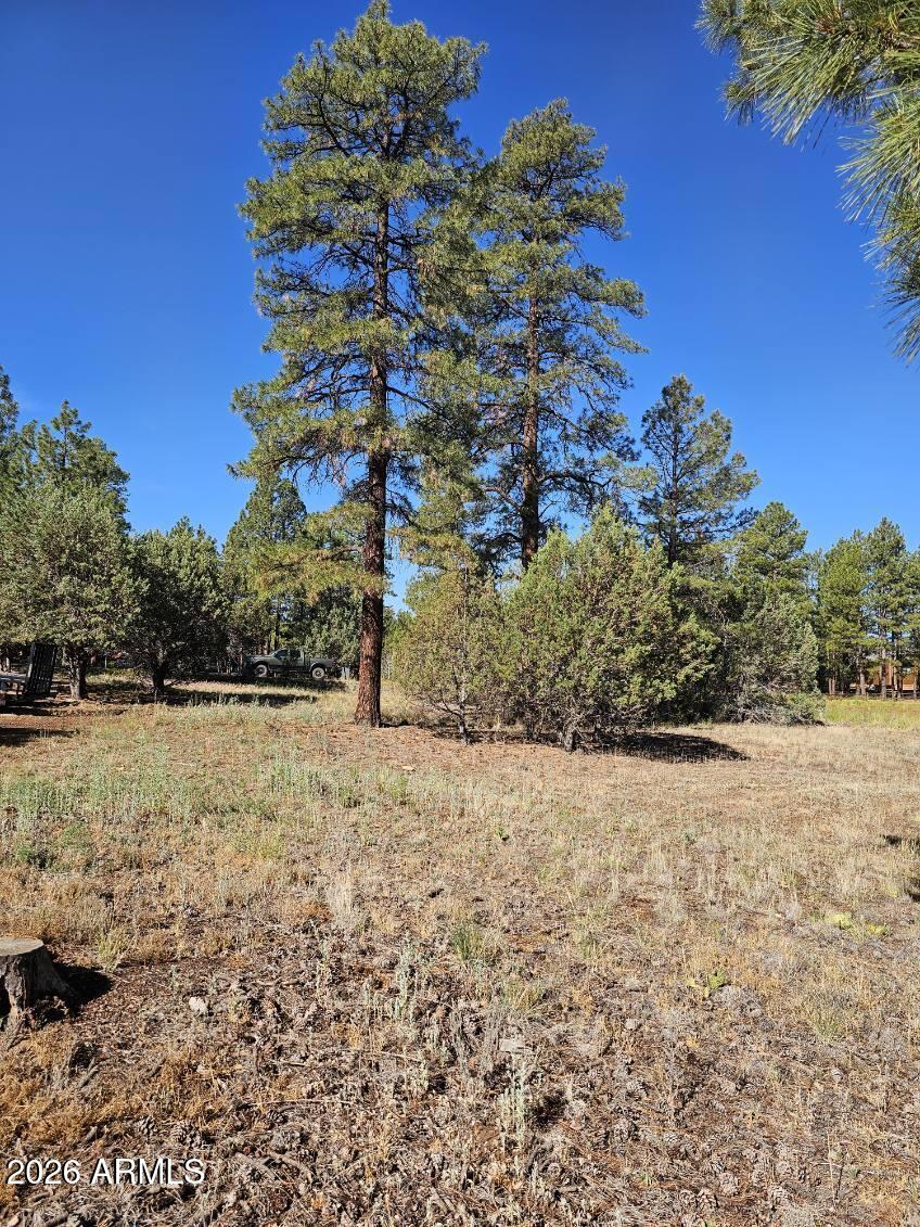 FOREST TRAILS UNIT 2 - Land