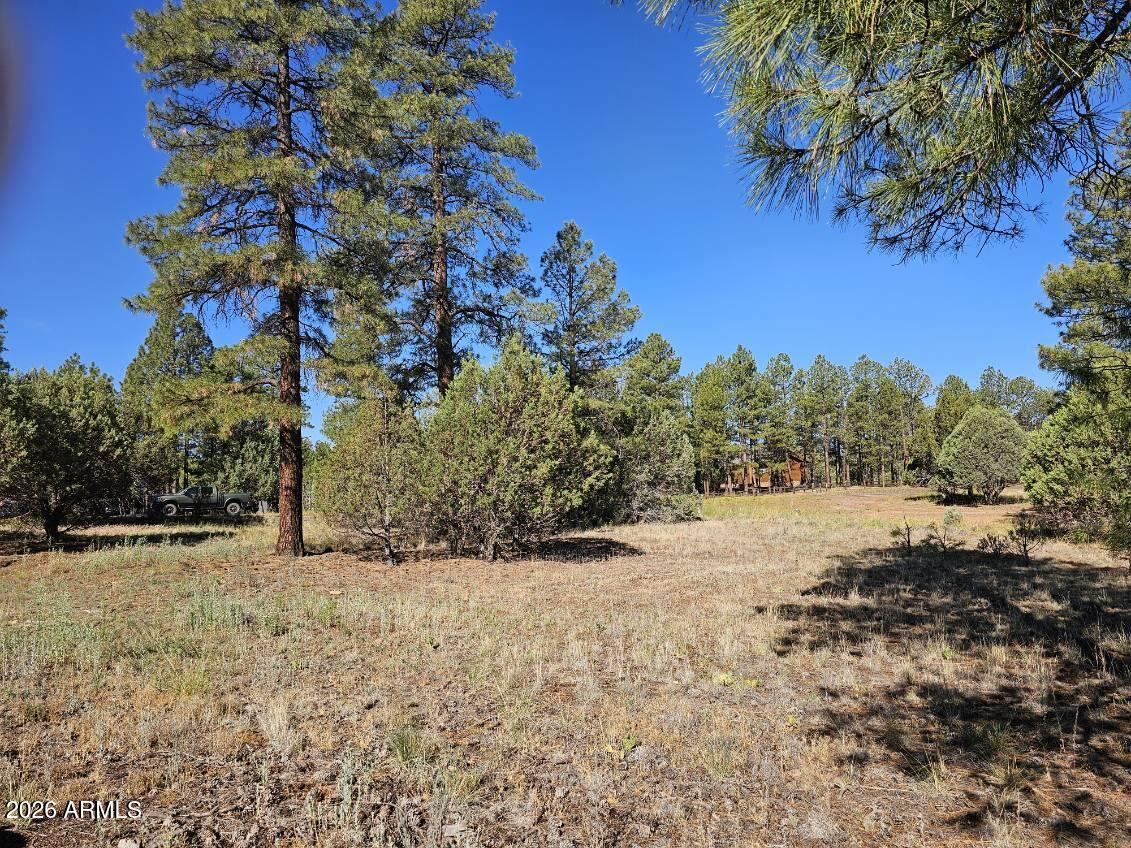 FOREST TRAILS UNIT 2 - Land