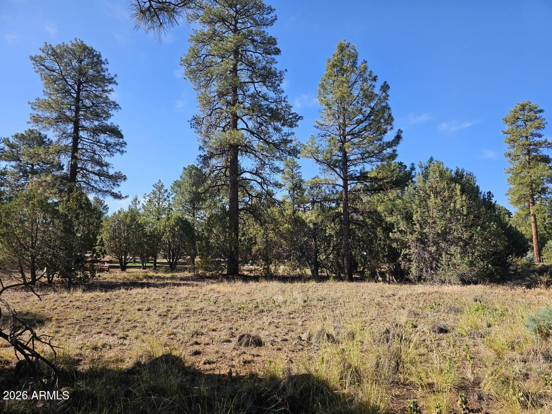 FOREST TRAILS UNIT 2 - Land