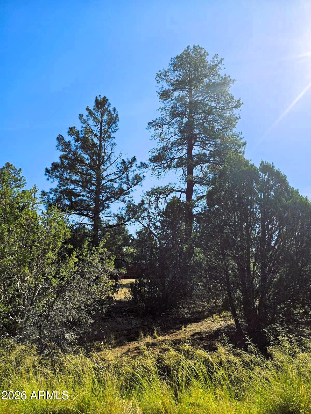 FOREST TRAILS UNIT 2 - Land