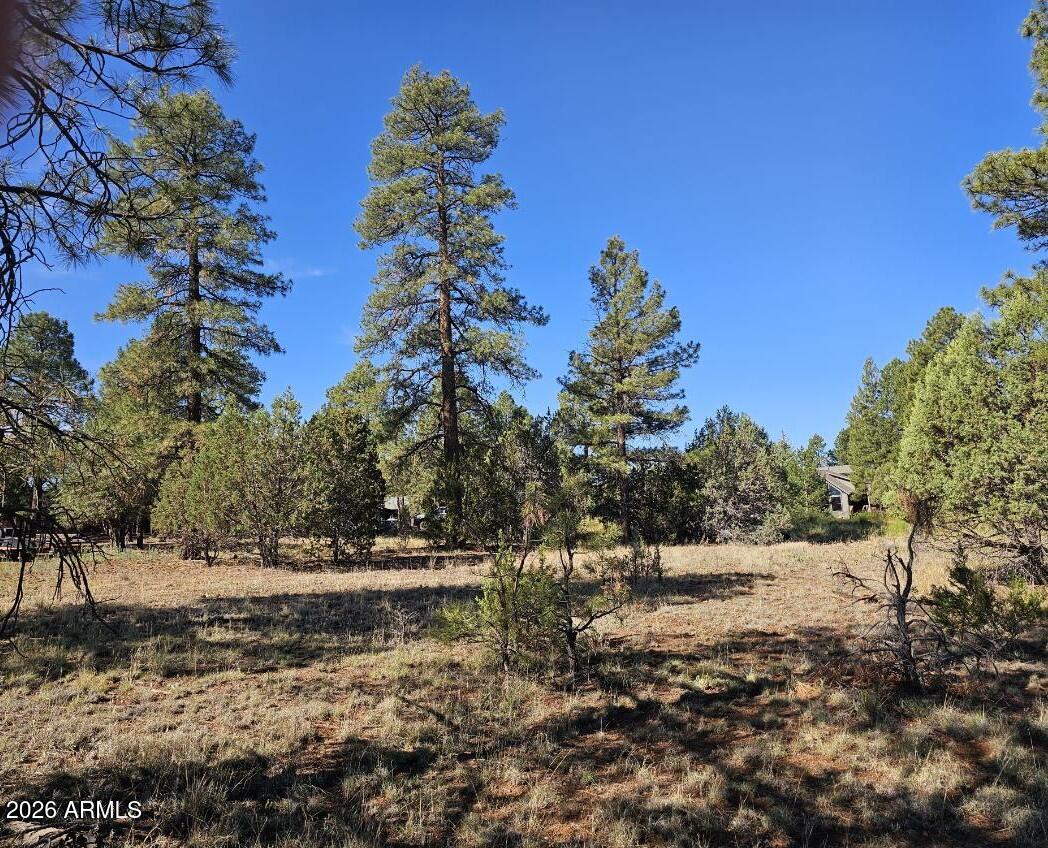FOREST TRAILS UNIT 2 - Land