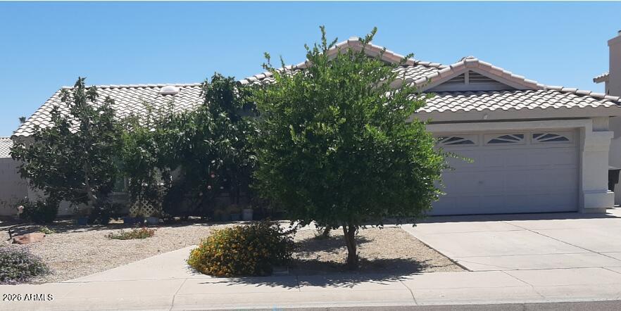 MISSION TIERRA REPLAT LOT 1-102 TR AB - Residential