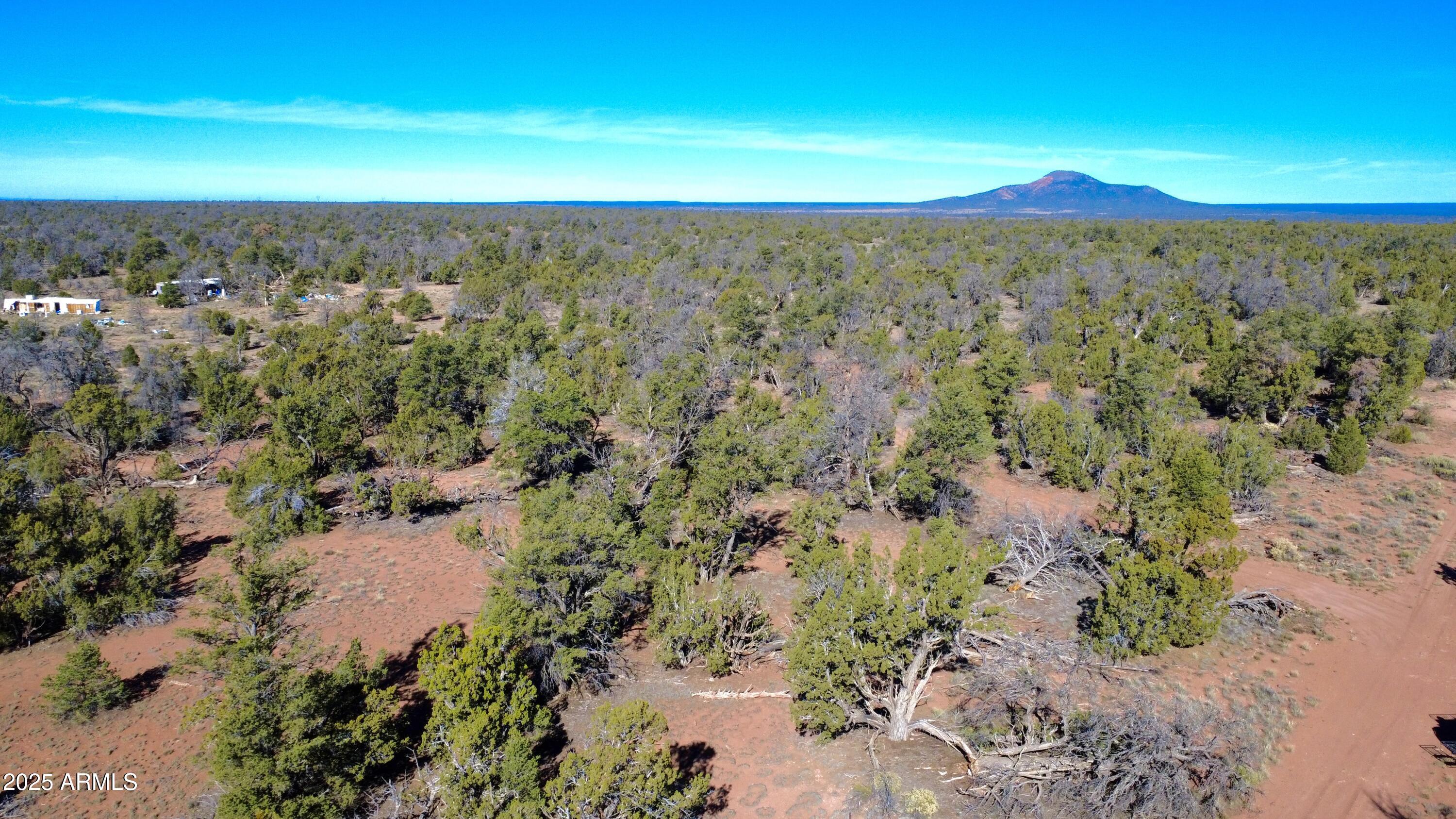 WOODLAND RANCH - Land