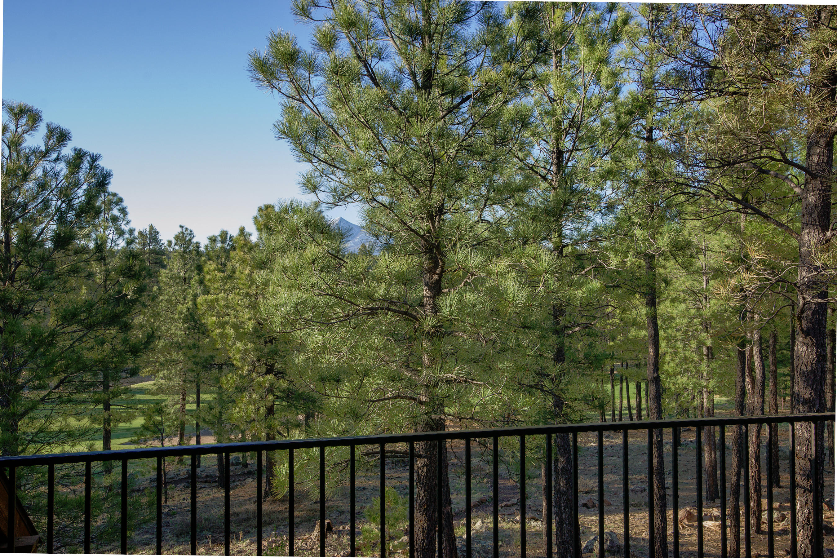 Home Lots & Homes - Residential