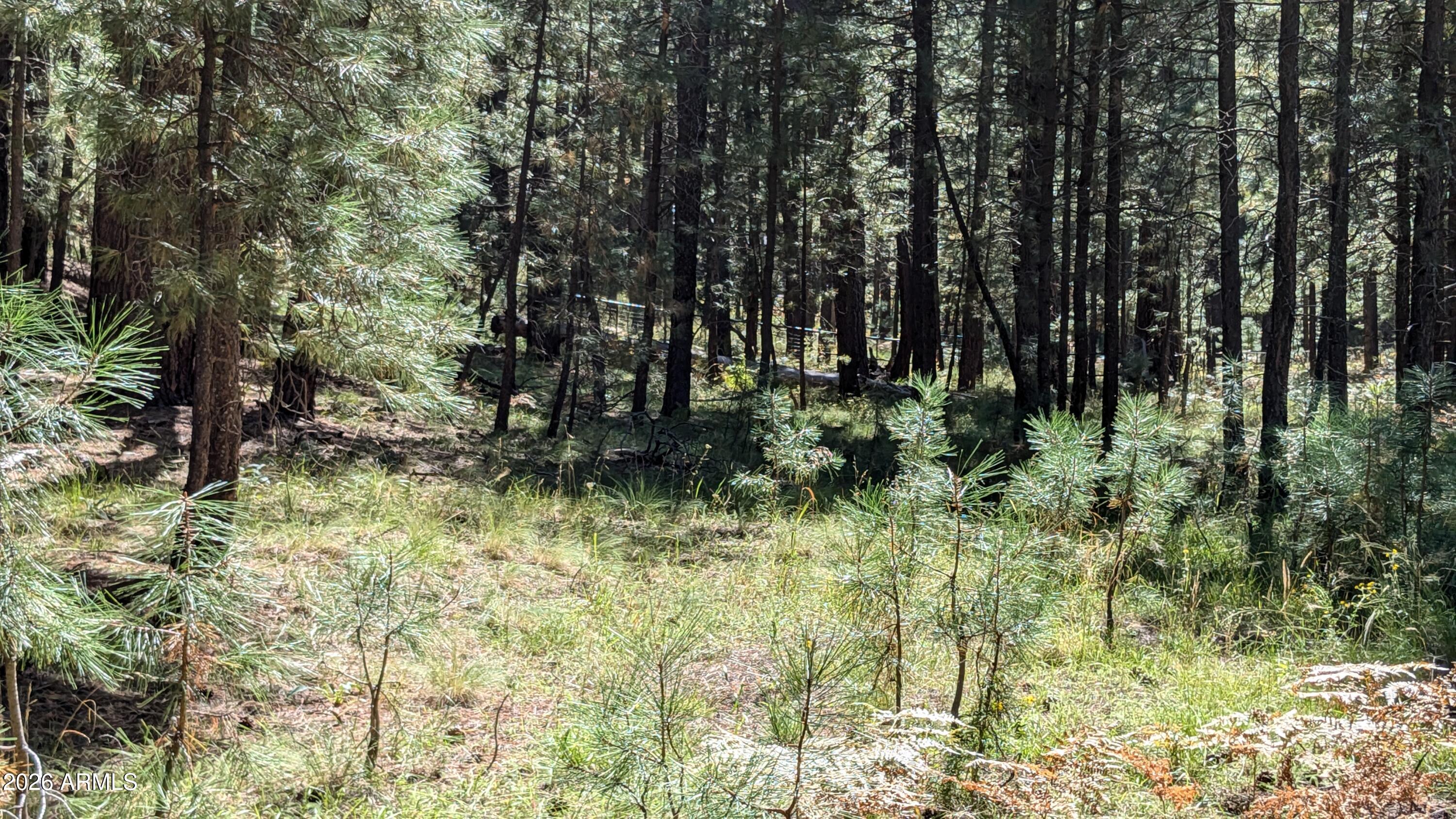FOREST LAKES ESTATES 6 - Land