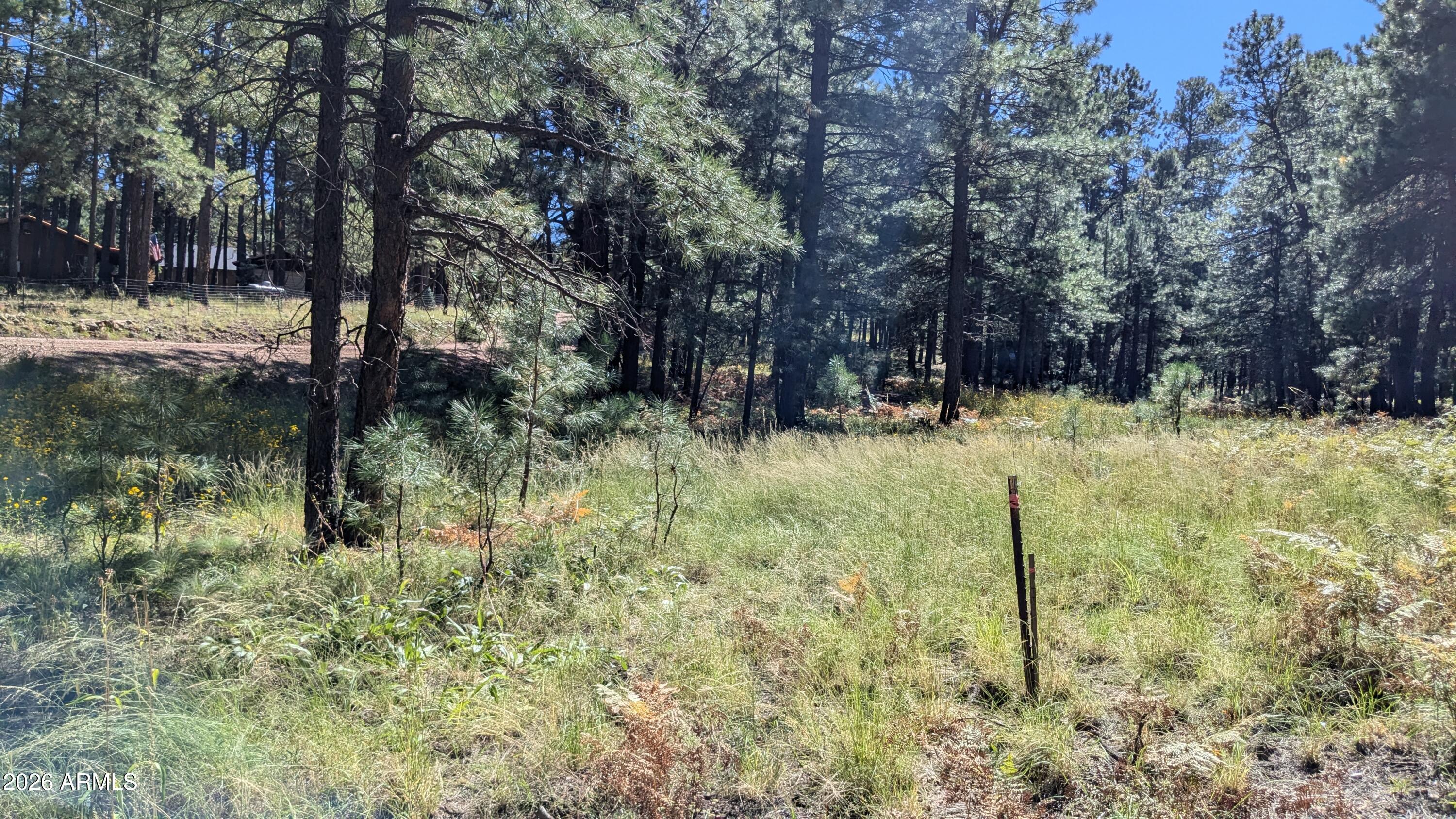 FOREST LAKES ESTATES 6 - Land