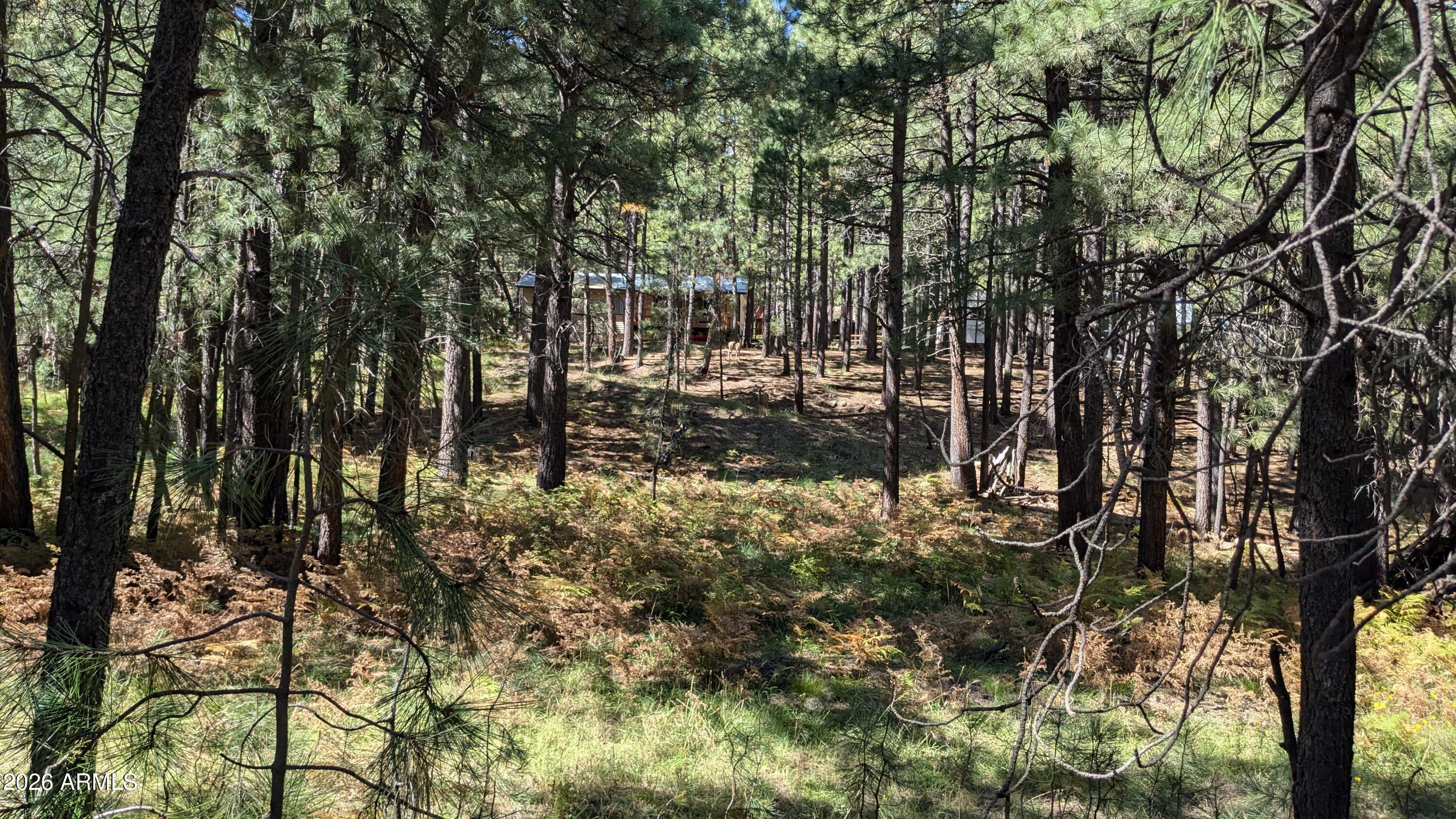 FOREST LAKES ESTATES 6 - Land
