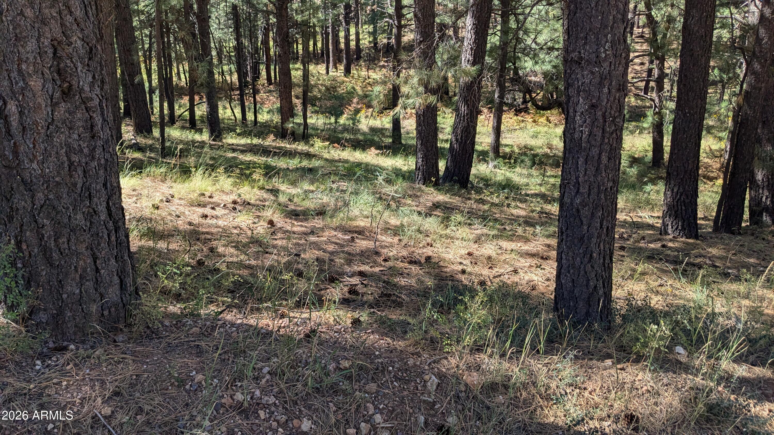 One of the few remaining buildable lots in Forest Lakes, a premier residential/vacation community in the cool,,tall pines of Arizona rim country at 7500 feet elevation and only 2 hours from the valley. Located away from the busiest main roads for quiet and privacy. This 1-acre lot slopes gently down from the road to a delightful meadow. There are several potential building or RV parking locations among the tall pines or in the open meadow. The small travel trailer on site conveys at no cost and can be used for storage. Traditional septic system is installed but has had very little usage. Water and power are both available at the street but are not connected to the property.