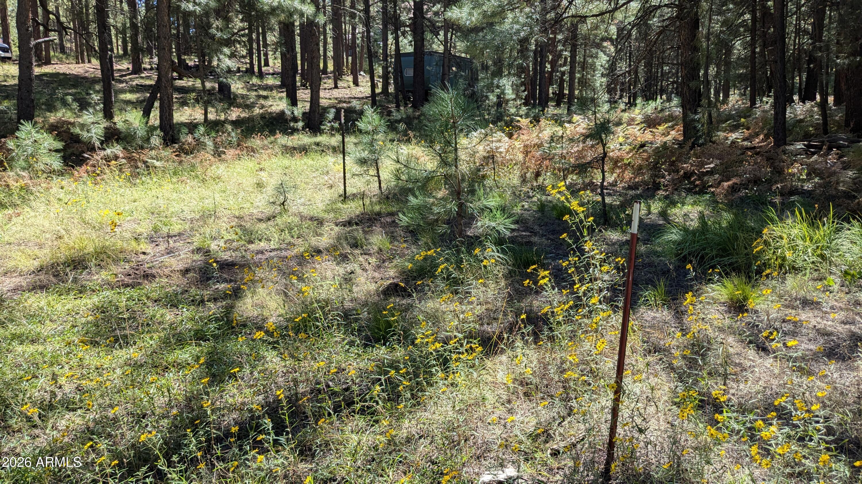 FOREST LAKES ESTATES 6 - Land