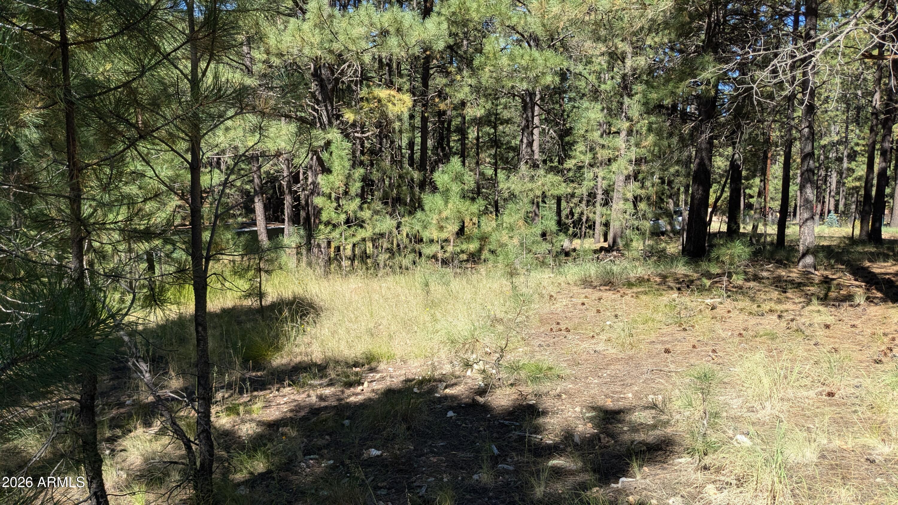 FOREST LAKES ESTATES 6 - Land