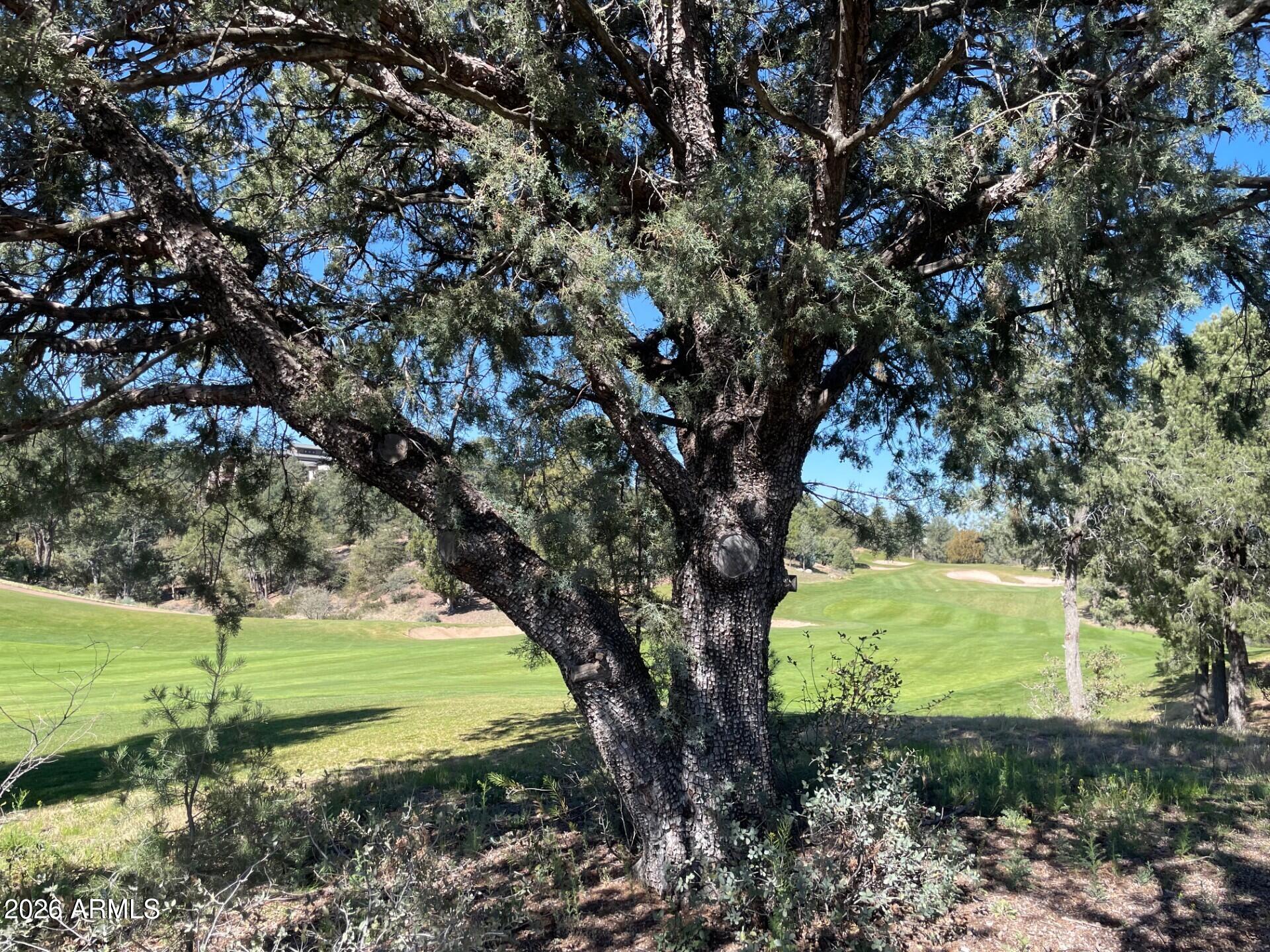 RIM GOLF CLUB PHASE 1 - Land