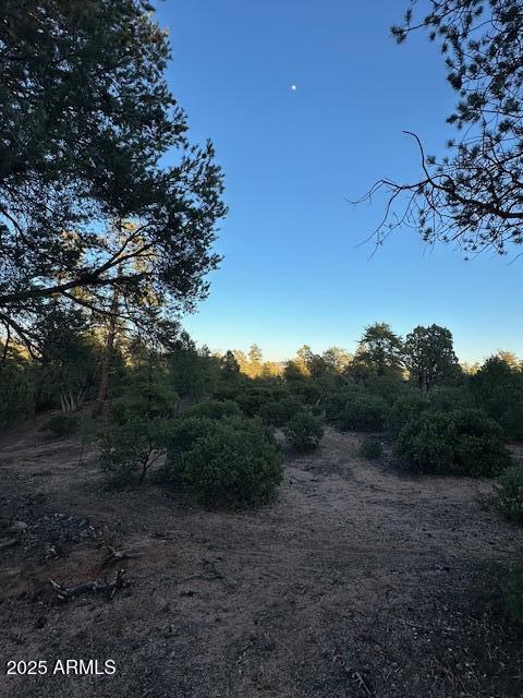 CHAPARRAL PINES PHASE 3 - Land