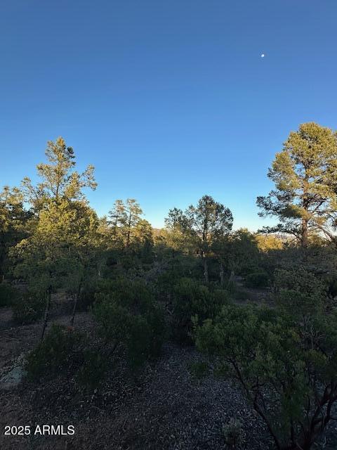CHAPARRAL PINES PHASE 3 - Land