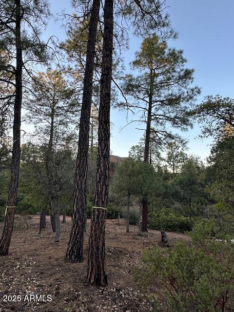 CHAPARRAL PINES PHASE 3 - Land
