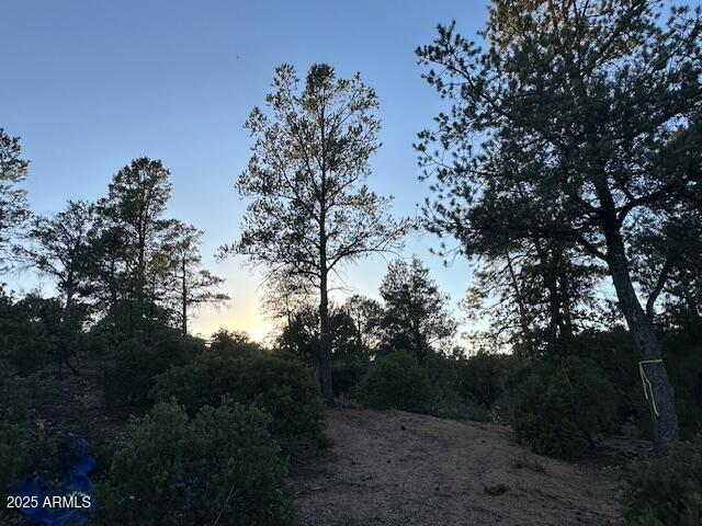 CHAPARRAL PINES PHASE 3 - Land