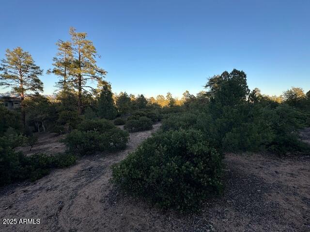 CHAPARRAL PINES PHASE 3 - Land
