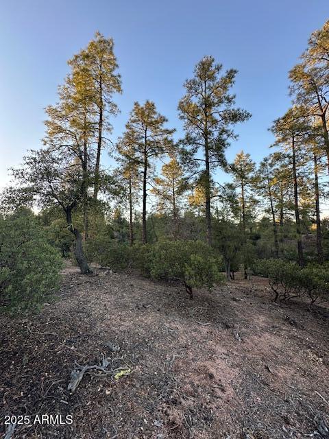 CHAPARRAL PINES PHASE 3 - Land