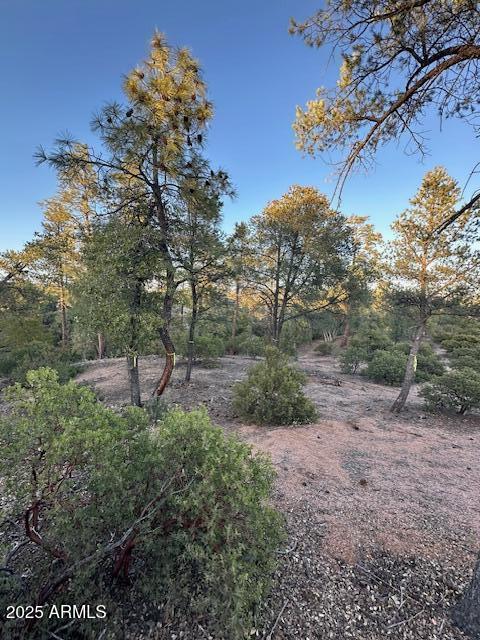 CHAPARRAL PINES PHASE 3 - Land