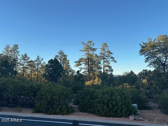 CHAPARRAL PINES PHASE 3 - Land