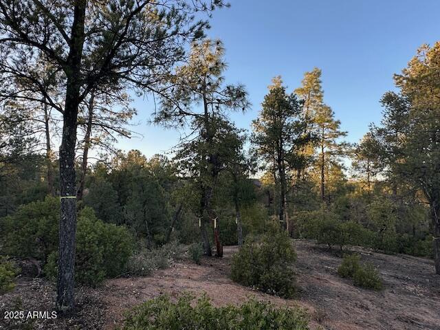 CHAPARRAL PINES PHASE 3 - Land