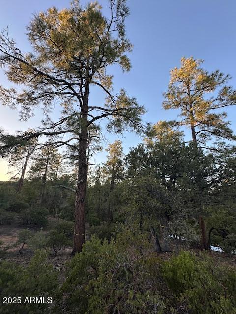 CHAPARRAL PINES PHASE 3 - Land