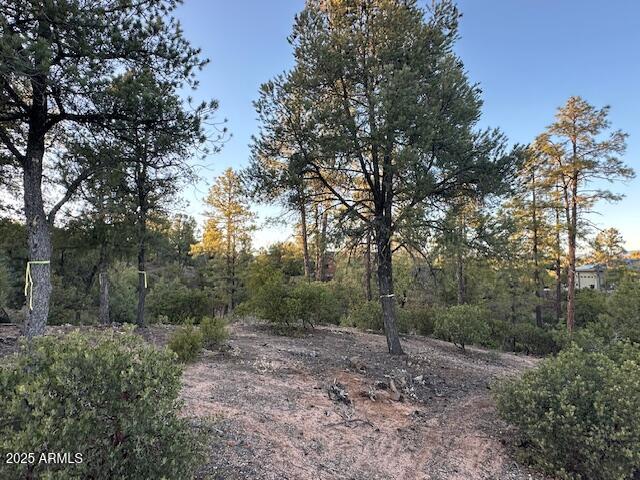 CHAPARRAL PINES PHASE 3 - Land