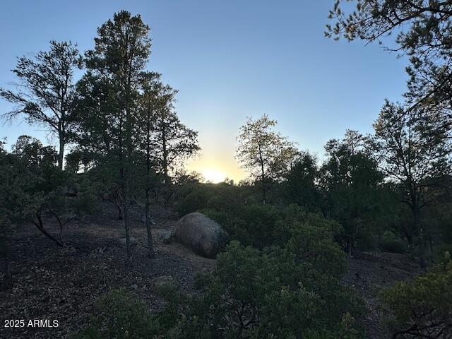 CHAPARRAL PINES PHASE 3 - Land