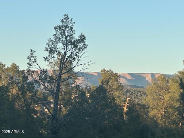 CHAPARRAL PINES PHASE 3 - Land