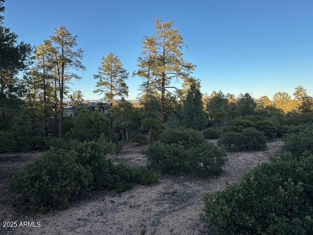 CHAPARRAL PINES PHASE 3 - Land