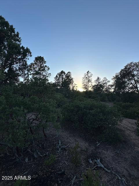 CHAPARRAL PINES PHASE 3 - Land