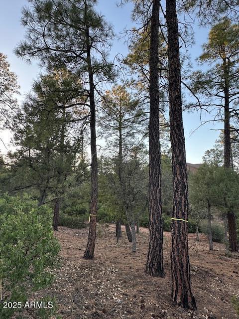 CHAPARRAL PINES PHASE 3 - Land