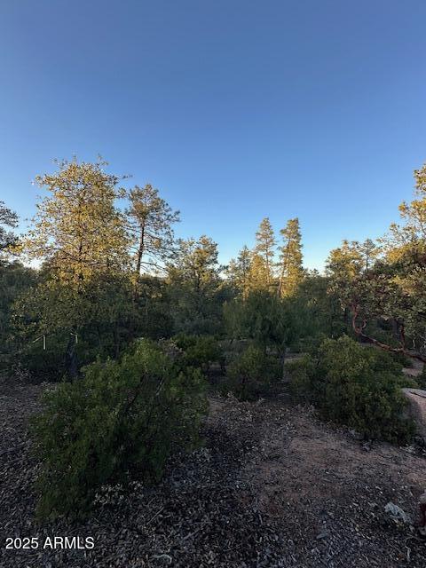 CHAPARRAL PINES PHASE 3 - Land
