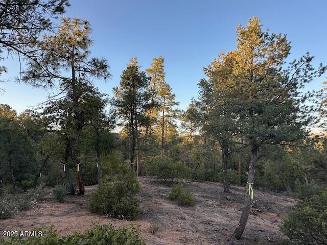 CHAPARRAL PINES PHASE 3 - Land