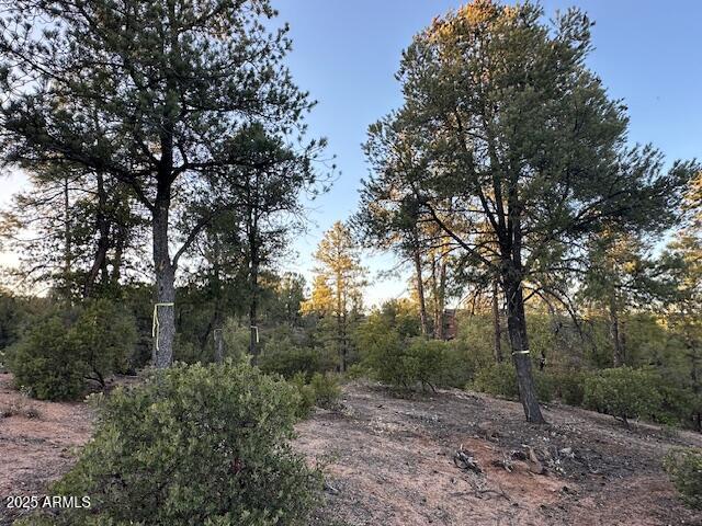 CHAPARRAL PINES PHASE 3 - Land