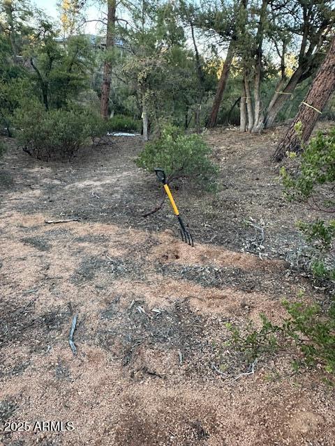 CHAPARRAL PINES PHASE 3 - Land