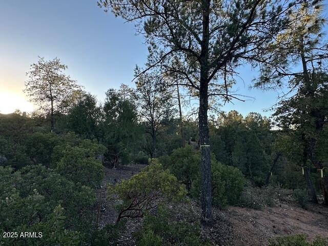 CHAPARRAL PINES PHASE 3 - Land