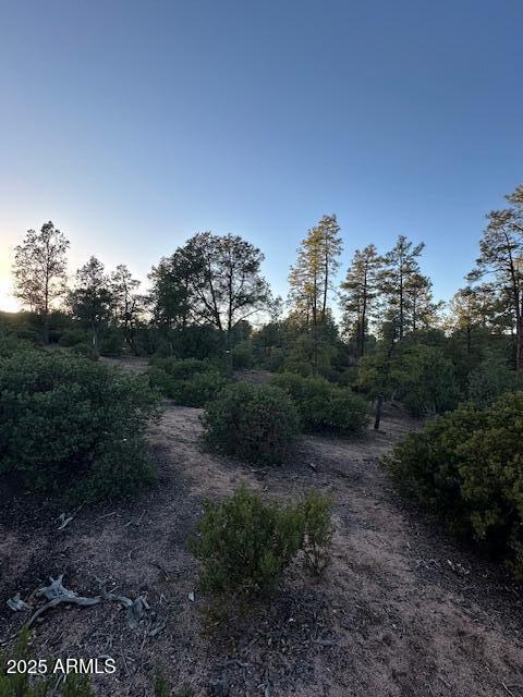 CHAPARRAL PINES PHASE 3 - Land