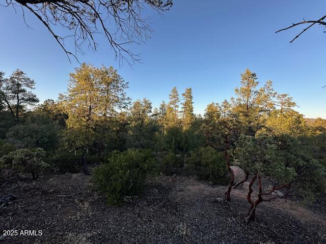 CHAPARRAL PINES PHASE 3 - Land