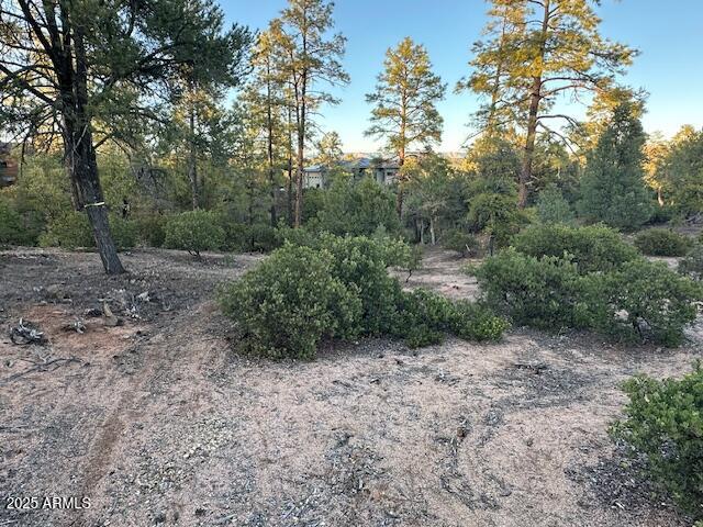 CHAPARRAL PINES PHASE 3 - Land