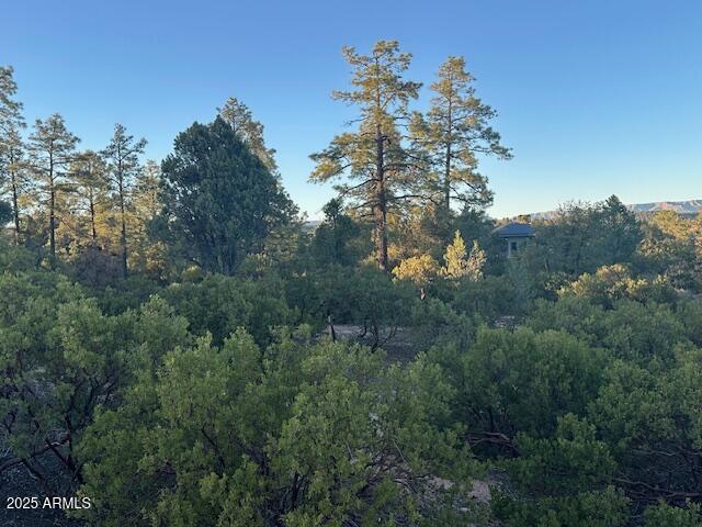 CHAPARRAL PINES PHASE 3 - Land
