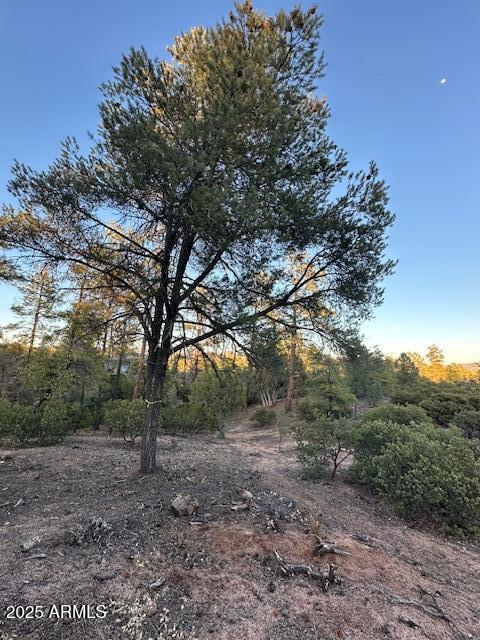 CHAPARRAL PINES PHASE 3 - Land