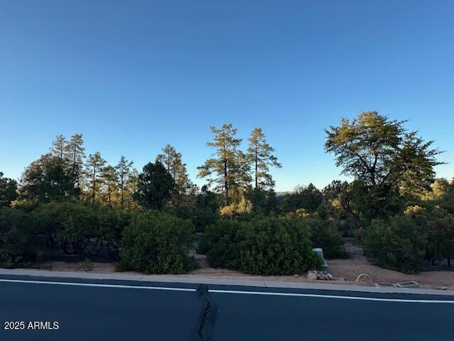 CHAPARRAL PINES PHASE 3 - Land