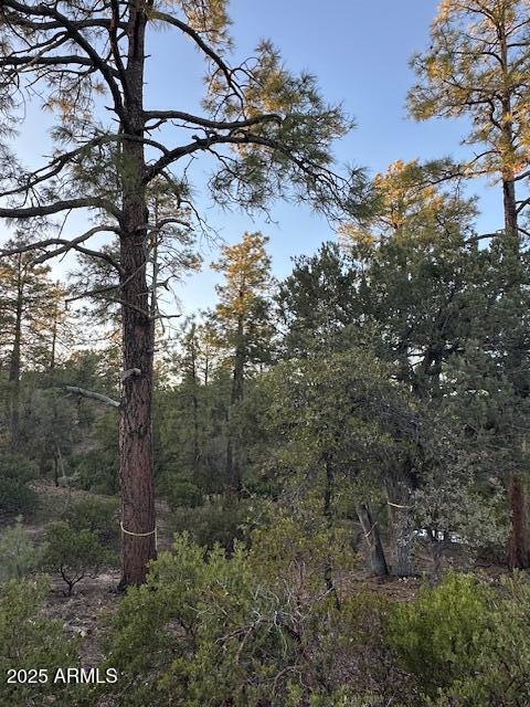 CHAPARRAL PINES PHASE 3 - Land