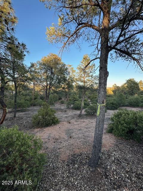 CHAPARRAL PINES PHASE 3 - Land