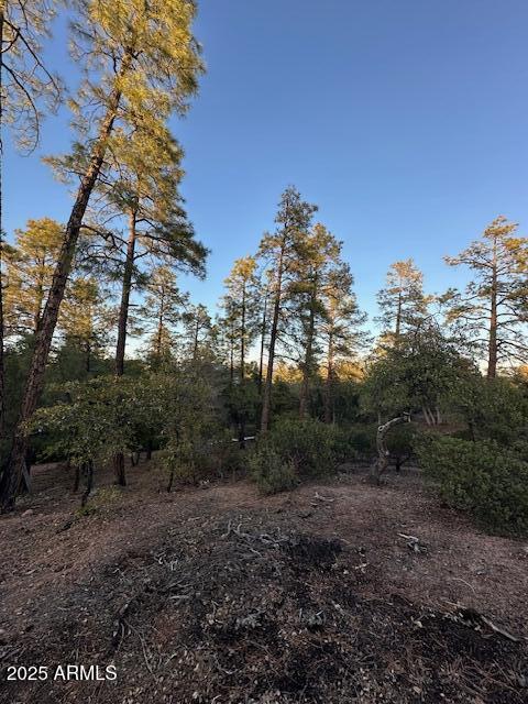 CHAPARRAL PINES PHASE 3 - Land